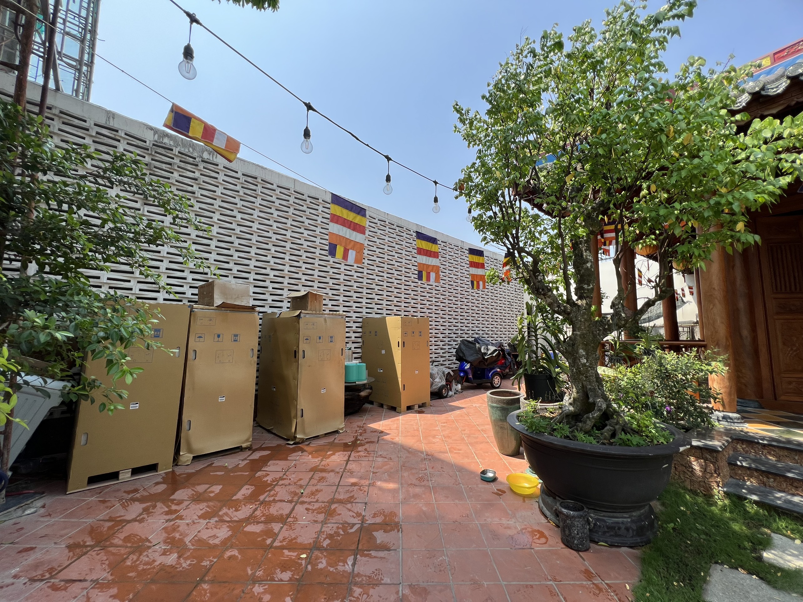 SHOWROOM THUỶ NGUYỄN